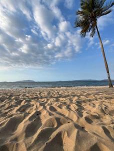 a sandy beach with a palm tree and the ocean at Apartamento lechería in El Morto de Barcelona