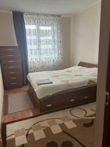 a bedroom with a bed and a window and a rug at Lovely House in Cholpon-Ata