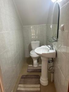a bathroom with a toilet and a sink at Lovely House in Cholpon-Ata +3 photos