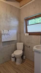 a bathroom with a toilet and a sink and a window at Domki nad potokiem in Stary Sącz