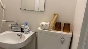 a bathroom with a toilet and a sink and a mirror at attomi hostel 2 in Sapporo
