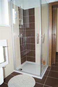 布勞莫夫的住宿－Apartmán u stadionu，浴室里设有玻璃门淋浴