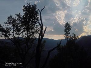 a silhouette of two trees with the sunset in the background at Chaukhamba hill homestay in Ukhimath
