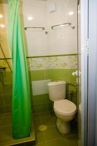 a bathroom with a toilet and a green shower curtain at P51 Central - Modern 2 Bedroom Apartment in Stara Zagora +41 photos