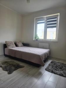 a bedroom with a bed with a window and two rugs at Apartament Okulickiego 80 in Gorzów Wielkopolski