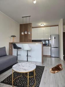 a living room with a dog laying on the floor at Apartament Okulickiego 80 in Gorzów Wielkopolski