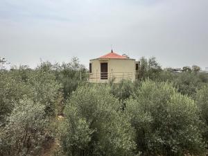 a building on top of a hill with bushes at Maanjoofarms Pilani in Pilani