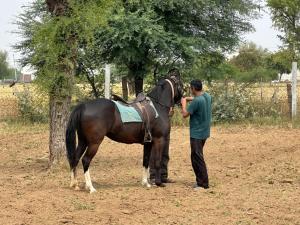 a man standing next to a horse in a field at Maanjoofarms Pilani in Pilani