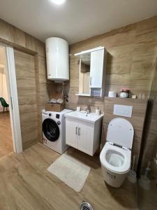 a bathroom with a toilet and a sink and a washing machine at Magic Home Cetinje in Cetinje