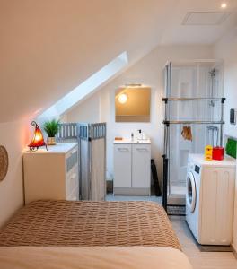 a attic bedroom with a bed and a washing machine at Duplex Le Doux Rêve in Dole