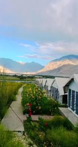 a row of houses with mountains in the background at Kayok camp hunder in Nubra
