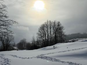 a snow covered hill with footprints in the snow at Wilcza Osada Wellness Resort in Wilcza