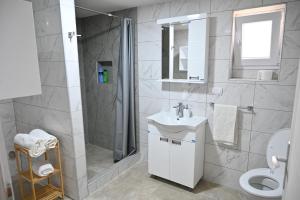 a bathroom with a shower and a sink and a toilet at Apartman biserna Sofija in Topola