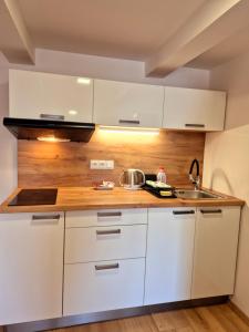a kitchen with white cabinets and a sink at City Center Apartments - Měšťanský dům Minoritská II in Brno
