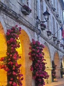 a bunch of flowers on the side of a building at La casa del camino in Montréal