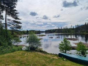 a view of a lake with trees and rocks at Bjørneboestova in Åmli