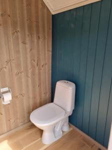 a bathroom with a toilet and a green wall at Bjørneboestova in Åmli