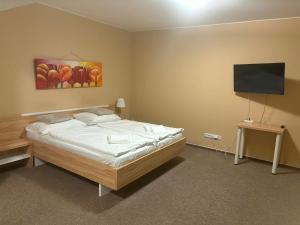 a bedroom with a bed and a flat screen tv at Penzion u Bláhů in Dolany +49 photos