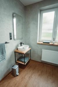 a bathroom with a sink and a window at Apartmány u Jeníka in Děčín