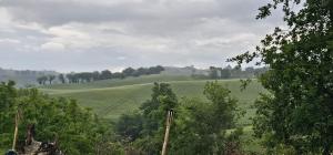 a green field with trees in the foreground at Orchard House South Room in Pergola +3 photos