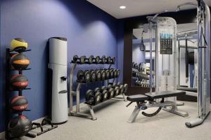 a gym with dumbbells and weights in a room at Hampton Inn Thomson in Thomson