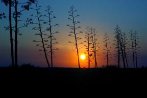 The sunrise or sunset as seen from Az apartmant or nearby