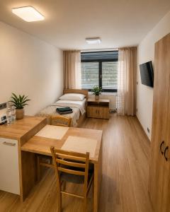 a room with a bed and a desk and a table at Microbyty & Apartments in Děčín