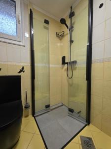 a shower with a glass door in a bathroom at Apartment Jurček with jacuzzi & sauna in Luče +9 photos