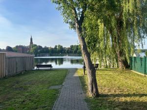 a park with a tree and a bench next to a lake at Ferienwohnung Klosterblick Insel Malchow mit eigenen Bootsanleger in Malchow