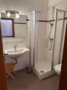 ein Badezimmer mit Dusche und Waschbecken in der Unterkunft Hotel Zum Kellermann in Grafenau + 10 Fotos