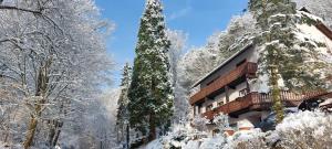 a building covered in snow next to some trees at Gästehaus Gerhardt in Schweigen-Rechtenbach