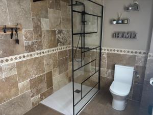 a bathroom with a toilet and a glass shower at La Carola in Bordeaux-Saint-Clair +16 photos