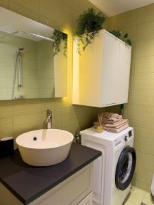 a bathroom with a sink and a washing machine at River Apartment in Pärnu