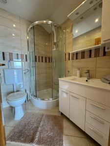 a bathroom with a shower and a toilet and a sink at Vila Peričić in Dramalj +45 photos