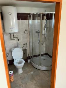 a bathroom with a shower and a toilet and a sink at Chaty u Toma Slapy in Nalžovice