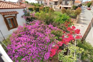 Zahrada ubytování Rodon Apartments - S Avdimioti