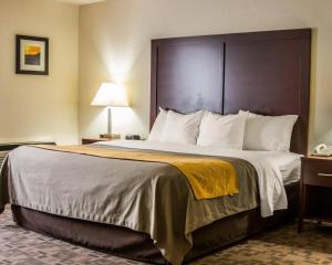 a hotel room with a large bed in a room at Comfort Inn Birch Run - Frankenmuth in Birch Run +23 photos