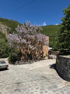 a tree with purple flowers on it next to a road at Rina's Appartment in Çorovodë
