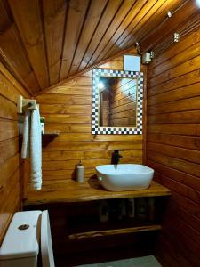 a wooden bathroom with a sink and a mirror at ShodaView in Oni +8 photos