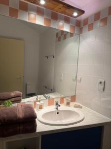 a bathroom with a sink and a mirror at Petite champagne in Germignac