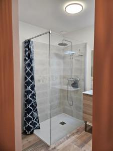 a shower with a glass door in a bathroom at Les Gîtes de Guillonnet in Anglade