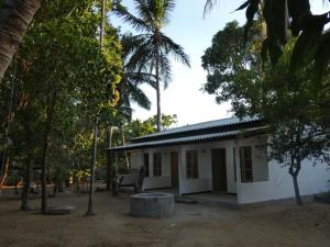 a small white house with a palm tree at Mango Surf House in Arugam Bay