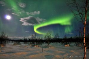 an image of the northern lights in the sky at RIBO Apartment Katterjåkk in Riksgränsen