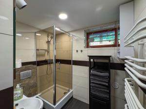 a bathroom with a shower and a sink at Willa Hacienda in Międzybrodzie Żywieckie +23 photos