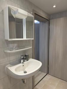 a bathroom with a white sink and a mirror at FeWo Augusta in Neustrelitz