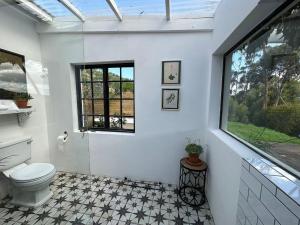 a bathroom with a toilet and a window at Cornellskop Country Stay in Botrivier +67 photos