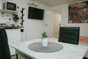 a table with a potted plant sitting on top of it at Studio Pod hruško in Kobarid