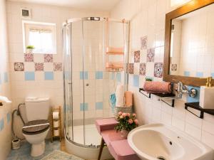 a bathroom with a shower and a sink and a toilet at Penzión U Koníka in Liptovský Ján