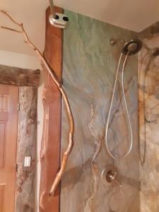 a shower in a bathroom with a branch on the wall at Hungry Moose B and B in Kasilof