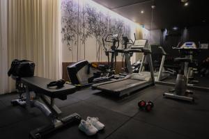a gym with several tread machines and other equipment at Best Western Plus Hôtel & Spa de Chassieu in Chassieu
